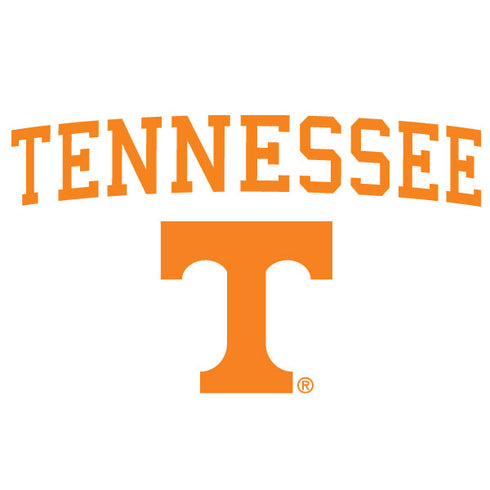 University of Tennessee-Knoxville Collegiate Text Nintendo Switch Lite Skin